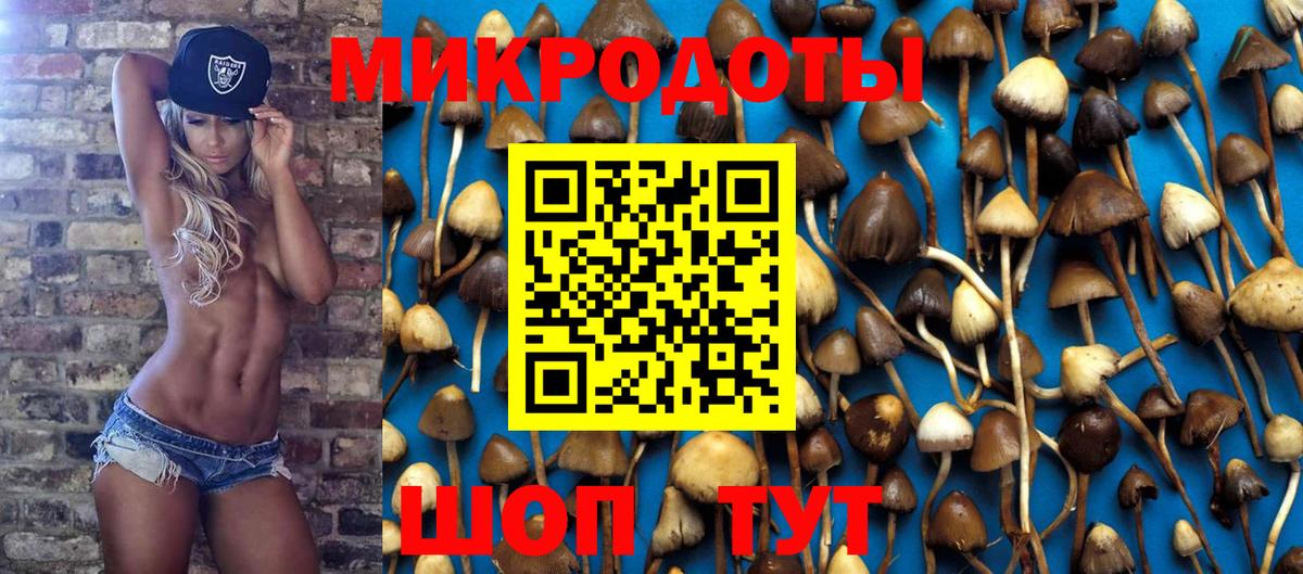 Псилоцибиновые грибы Magic Shrooms  Вход с VPN  Псилоцибиновые грибы Psilocybine cubensis  Кемерово 