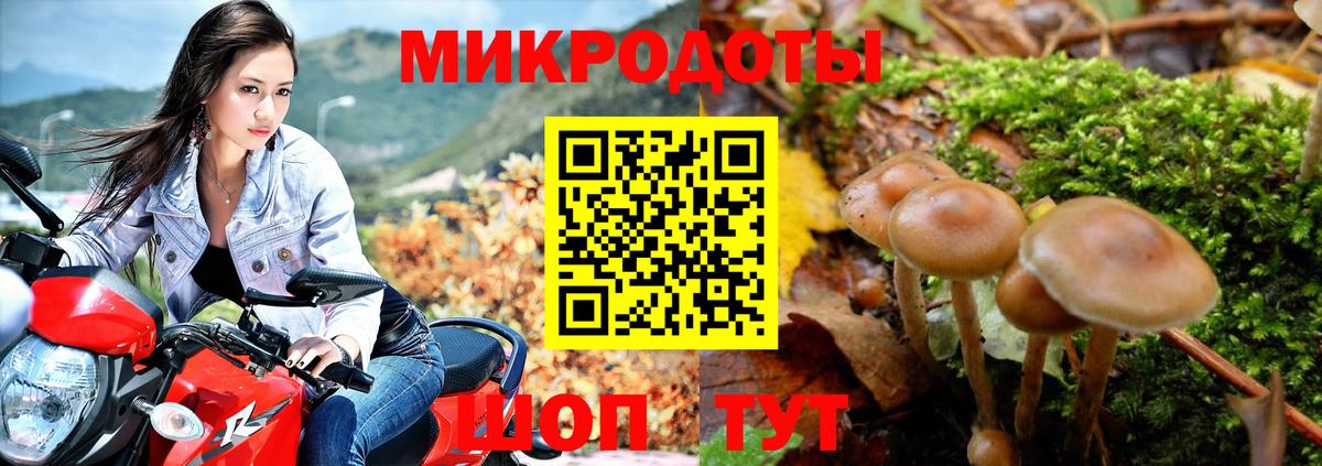 Галлюциногенные грибы мицелий Кемерово
